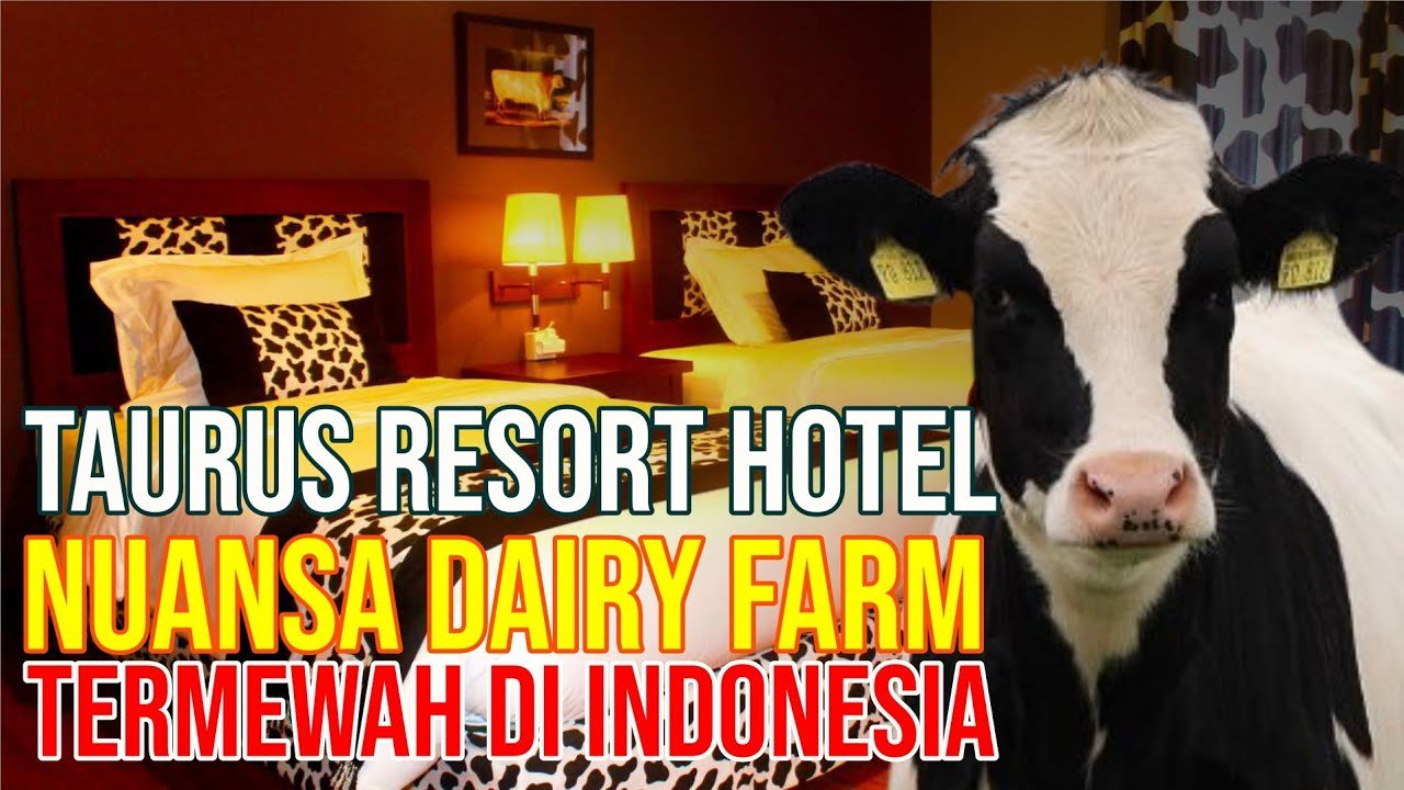 
                                 Hotel-Unik-Nuansa-Peternakan-Sapi-Termewah-Di-Indonesia